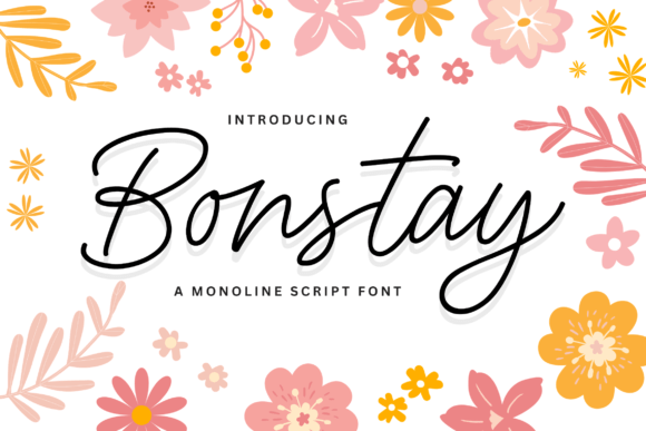Bonstay Font Review: Elevating Campaign Visuals with Elegance