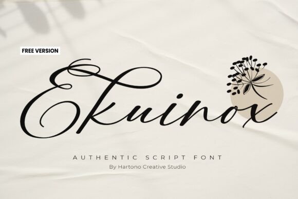 Ekuinox Script Font for Modern Web Design