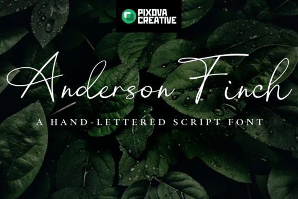 Elevate Web Design with the Anderson Finch Typeface