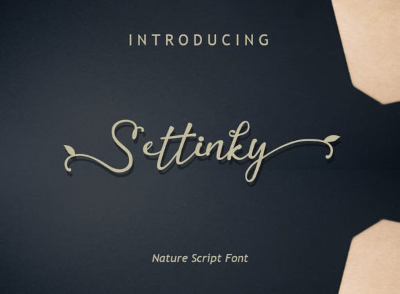 Settinky: A Handwritten Script Font for Editorial Design